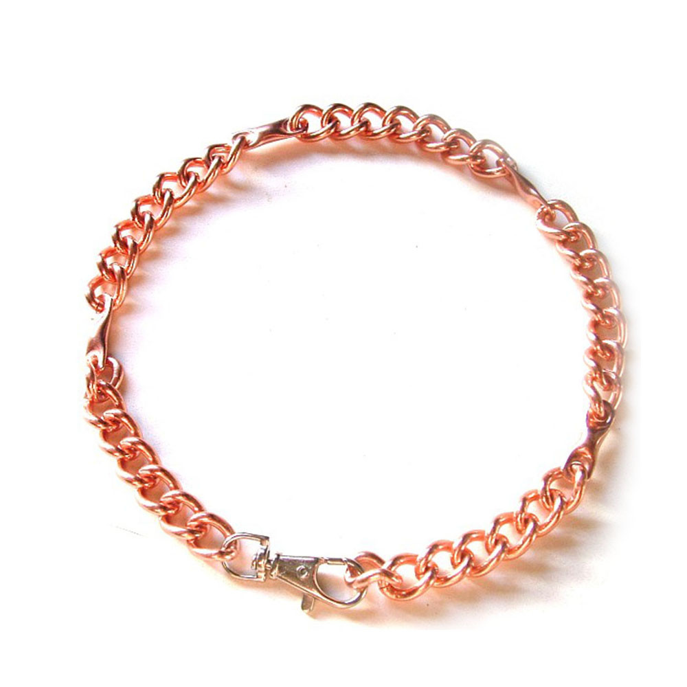 and Copper Dog Collar Small 12"