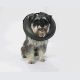 after operation collar- Inflatable buster collar - Small Size 2